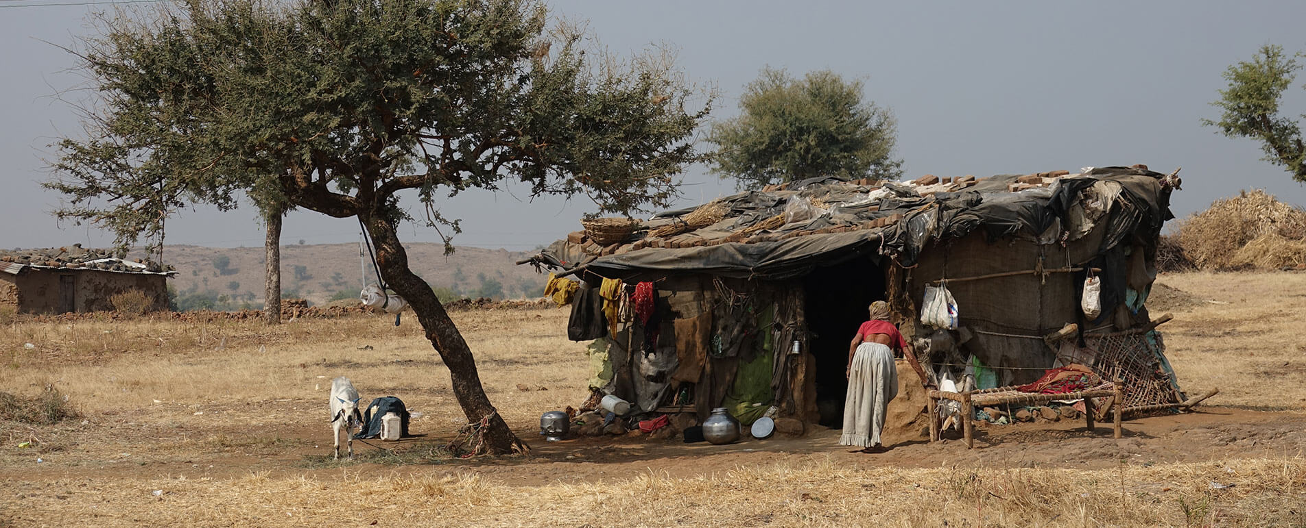 Society for Indian Development | Anand, Gujarat, India